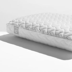 Tempur-Pedic Cloud Pillow